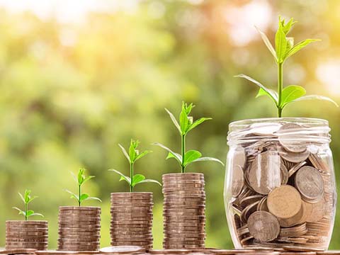 Planning your estate